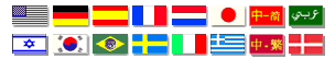 Casino International